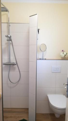 a bathroom with a shower and a toilet at Ferienwohnung Luba Lipa in Drachhausen