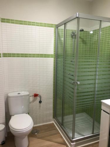 プラセンシアにあるLa Capital del Jerteのバスルーム(トイレ、ガラス張りのシャワー付)
