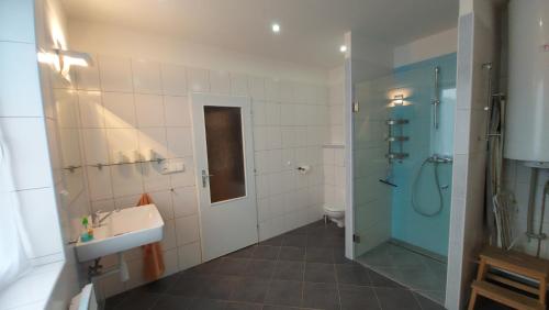uma casa de banho com um lavatório, um chuveiro e um WC. em Domek v Kosově em Kamenný Újezd