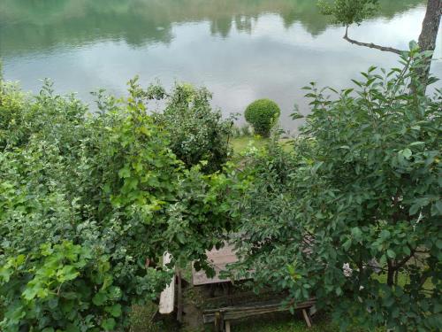 a bench between two trees near a body of water at Prenoćište na Drini Foča in Foča