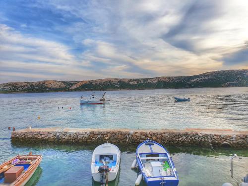 two boats are docked in a body of water at BetaNovalja in Novalja