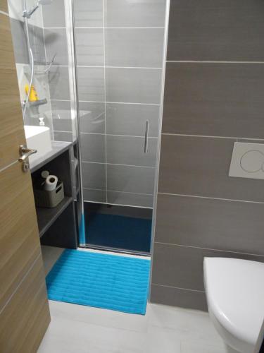 a bathroom with a shower with a blue floor at Chalet neuf 6 personnes in Mont-Saxonnex