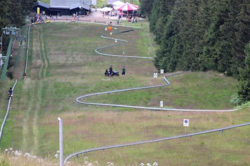 a person riding a horse on a race track at fewogriebelschied in Griebelschied
