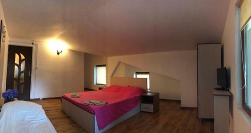 a bedroom with a red bed and a tv at Casa Paty Orsova in Orşova