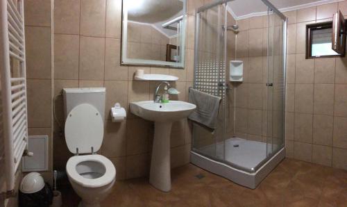 オルショバにあるCasa Raresのバスルーム(トイレ、洗面台、シャワー付)