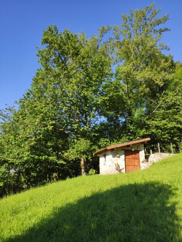 un pequeño edificio de piedra en una colina con césped y árboles en Apartamentos Rurales La Caviana, en Cangas de Onís