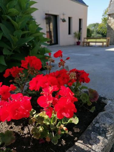 a bunch of red flowers in a garden at Gîte de Kerliguit 3 étoiles pour 6 personnes au cœur du Cap-Sizun in Mahalon