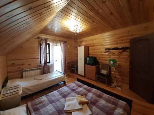 een slaapkamer met een bed en een televisie in een hut bij Садиба Орисин Явір Orysyn Yavir in Svityazʼ