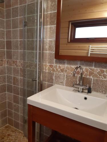 a bathroom with a sink and a shower at Mar&Mar Houseboat Studio in Amsterdam