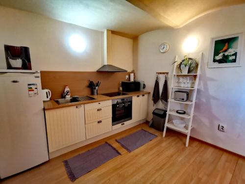a kitchen with a refrigerator and a sink and a shelf at Holiday House Novosedly in Novosedly