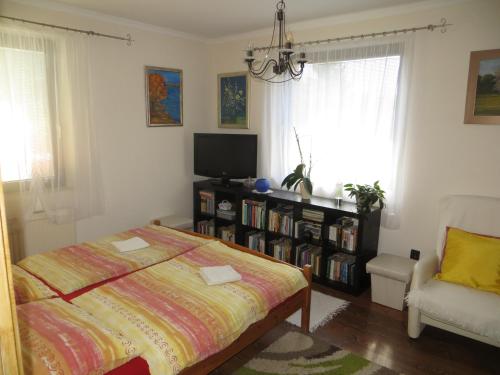 a bedroom with a bed and a tv and a chair at Vadvirág Apartman in Csopak