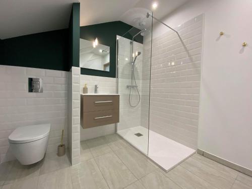 uma casa de banho com um chuveiro, um WC e um lavatório. em Appartement 2 à 4 personnes, Une Pause au Vert em Châteauvieux