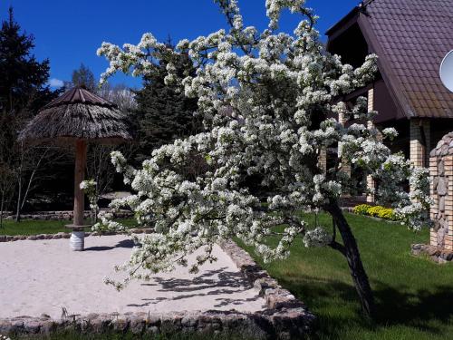 Сад в Hunting House Ezerkrasti
