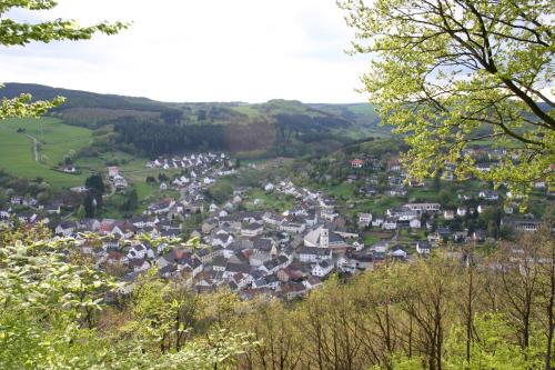 a town in a valley with houses and trees at Hotel zur Krone in Birresborn
