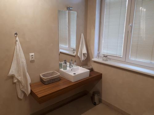 ein Badezimmer mit einem weißen Waschbecken und einem Spiegel in der Unterkunft Útulný apartmán v Bratislava 15 in Bratislava