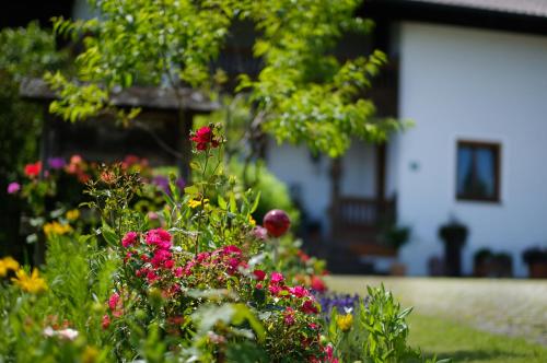 a garden of flowers in front of a house at Gaestehaus Hofer in Bad Birnbach