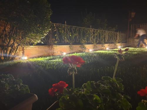 a garden at night with lights on a fence at B&B il Barbero in Siena