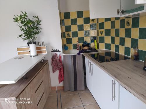 eine Küche mit weißen Schränken und einer Topfpflanze in der Unterkunft SUD ET DETENTE in Gallargues-Le-Montueux