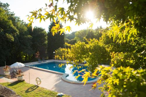 龐特維德拉的住宿－Pedreiras Cottage Rias Baixas，一座树木繁茂的庭院内的游泳池