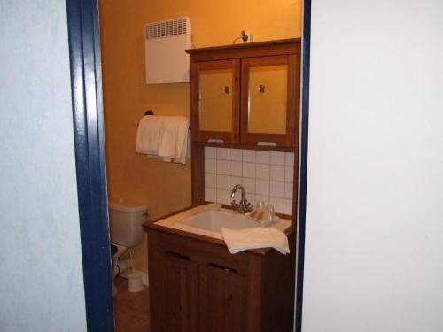 La salle de bains est pourvue d'un lavabo et de toilettes. dans l'établissement Hôtel du Val d'Aure, à Cadéac