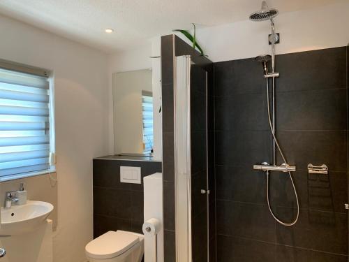 ein Bad mit einer Dusche, einem WC und einem Waschbecken in der Unterkunft City Apartments in Bad Säckingen