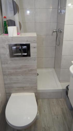 uma pequena casa de banho com WC e chuveiro em Pokoje Żabi Staw em Mikolajki