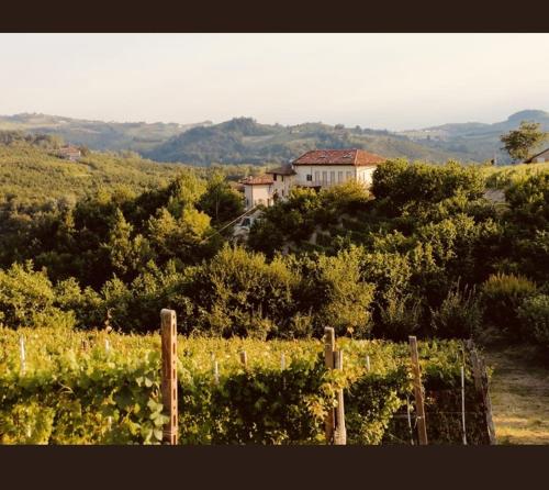 a house on top of a hill with a vineyard at Madama Langa Country House con piscina nelle vigne in Montelupo Albese
