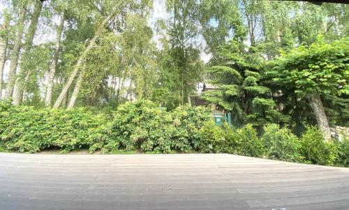 a empty parking lot with trees and bushes at Villa Gaida in Saulkrasti