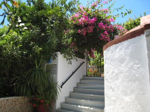 Κήπος έξω από το Eleftheria Lindian Studios II