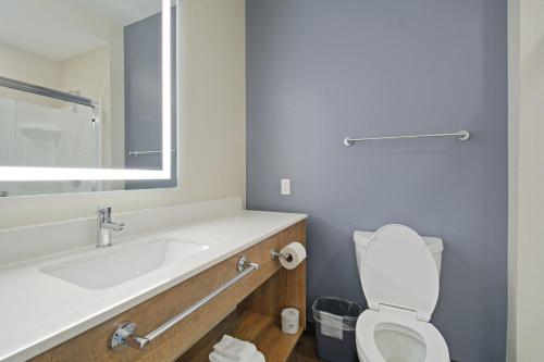 a bathroom with a sink and a toilet and a mirror at Extended Stay America Premier Suites - Austin - Austin Airport in Austin