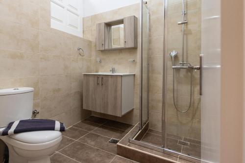 a bathroom with a shower and a toilet and a sink at MARKOS LUXURY APARTMENTS in Koroni