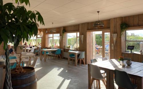 een restaurant met tafels en stoelen en een potplant bij Strandhotel Om de Noord in Schiermonnikoog