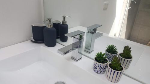 a bathroom with a sink with three bottles and potted plants at The FarmShed Private Retreat McLaren Vale in Clarendon