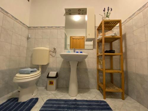 un baño con inodoro y lavabo en Apartment Studio Van Bakel Gerard, en Bled