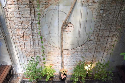 una pared de ladrillo con plantas en macetas en el suelo en Frenz Republic - SELF CHECK IN en George Town