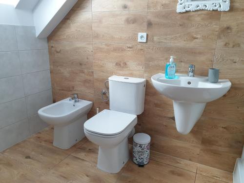a bathroom with a toilet and a sink at Ubytování ADR100 Adršpach in Adršpach