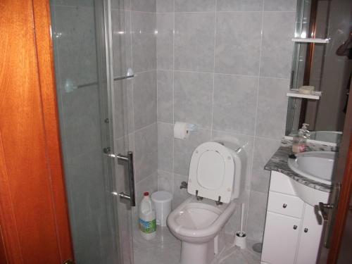 y baño con aseo, lavabo y ducha. en vivendas Alves Pinho, en Santa Maria da Feira