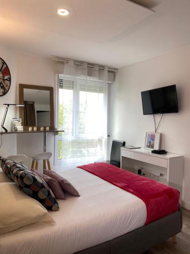 a bedroom with a large bed and a television at Studio Gare Part Dieu in Lyon