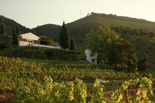 Galeriebild der Unterkunft CASA da PISCINA, Quinta do Espinho, Douro Valley in Tabuaço