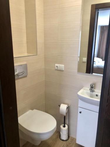 a bathroom with a toilet and a sink and a mirror at Summer spot Nida in Nida