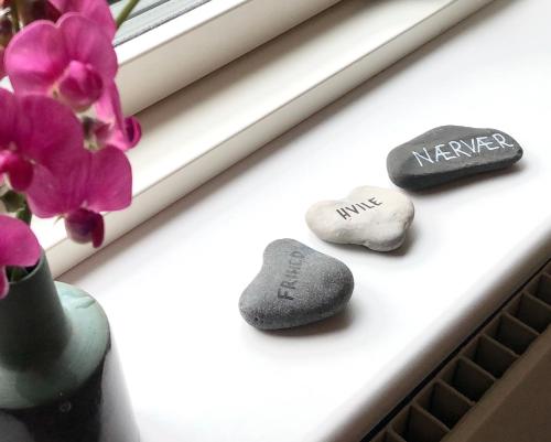 three rocks sitting on a window sill next to flowers at Shruti's Home in Billund