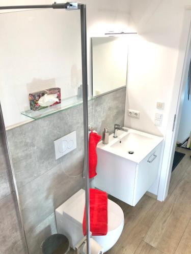 a bathroom with a sink and a toilet and a mirror at Wolfˋs Apartment in Neubeuern