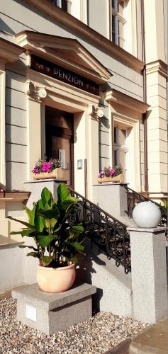 a potted plant sitting in front of a building at Penzion U sv. Kryštofa in Prague
