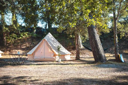 WolfCamp Surf Moliets