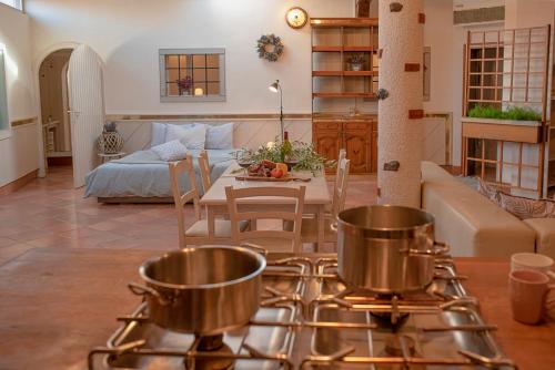 a kitchen with a stove with two pots on it at Apartment Ana - Karst Cycling Paradise in Dutovlje