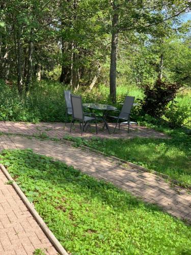 2 Stühle und ein Tisch in einem Park in der Unterkunft Ferienwohnung Heimweg in Feldberg