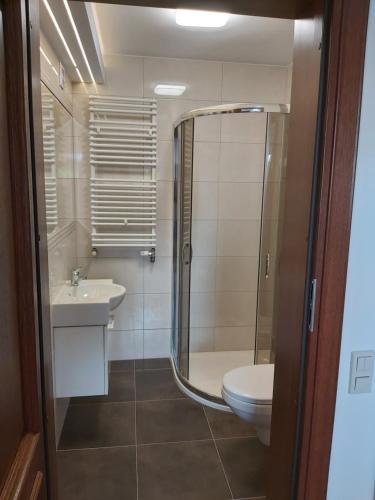 Kúpeľňa v ubytovaní Leśny Dworek - Apartamenty SUPER z TV i salonem kominkowym