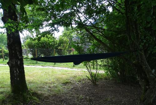 a hammock hanging from a tree in a park at Au Frêne Centenaire in Bras
