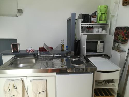 eine kleine Küche mit einer Spüle und einer Mikrowelle in der Unterkunft Cath's place in Toulon