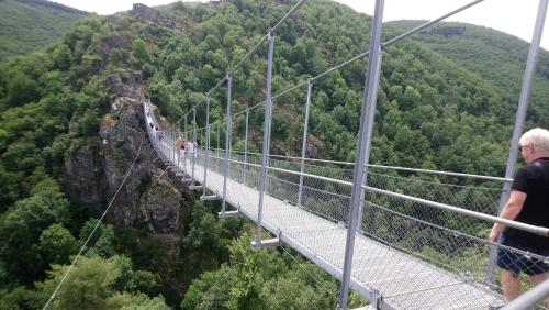a man standing on a suspension bridge in the mountains at Fleurs de Cosmos in Albi
